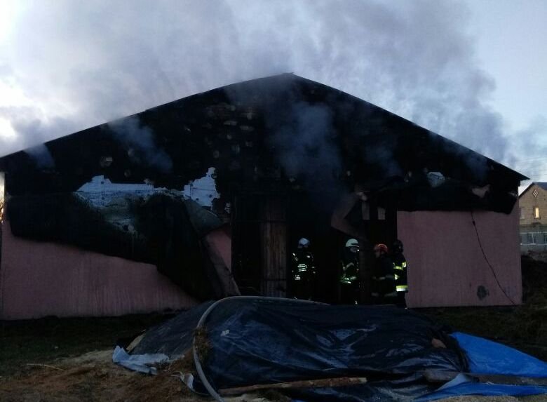 Под Киевом сгорела конюшня Под Киевом сгорела конюшня