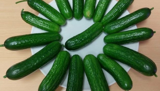 В Антарктиде впервые собрали урожай, выращенный в теплицах без земли и солнечного света