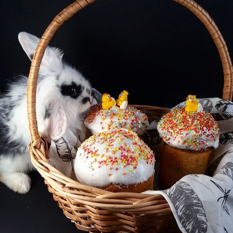 Пасхальный кролик. Фото: @valeri_morgunova