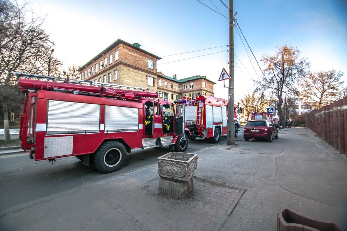 Возгорание возникло со стороны служебного входа в зоопарк Возгорание возникло со стороны служебного входа в зоопарк