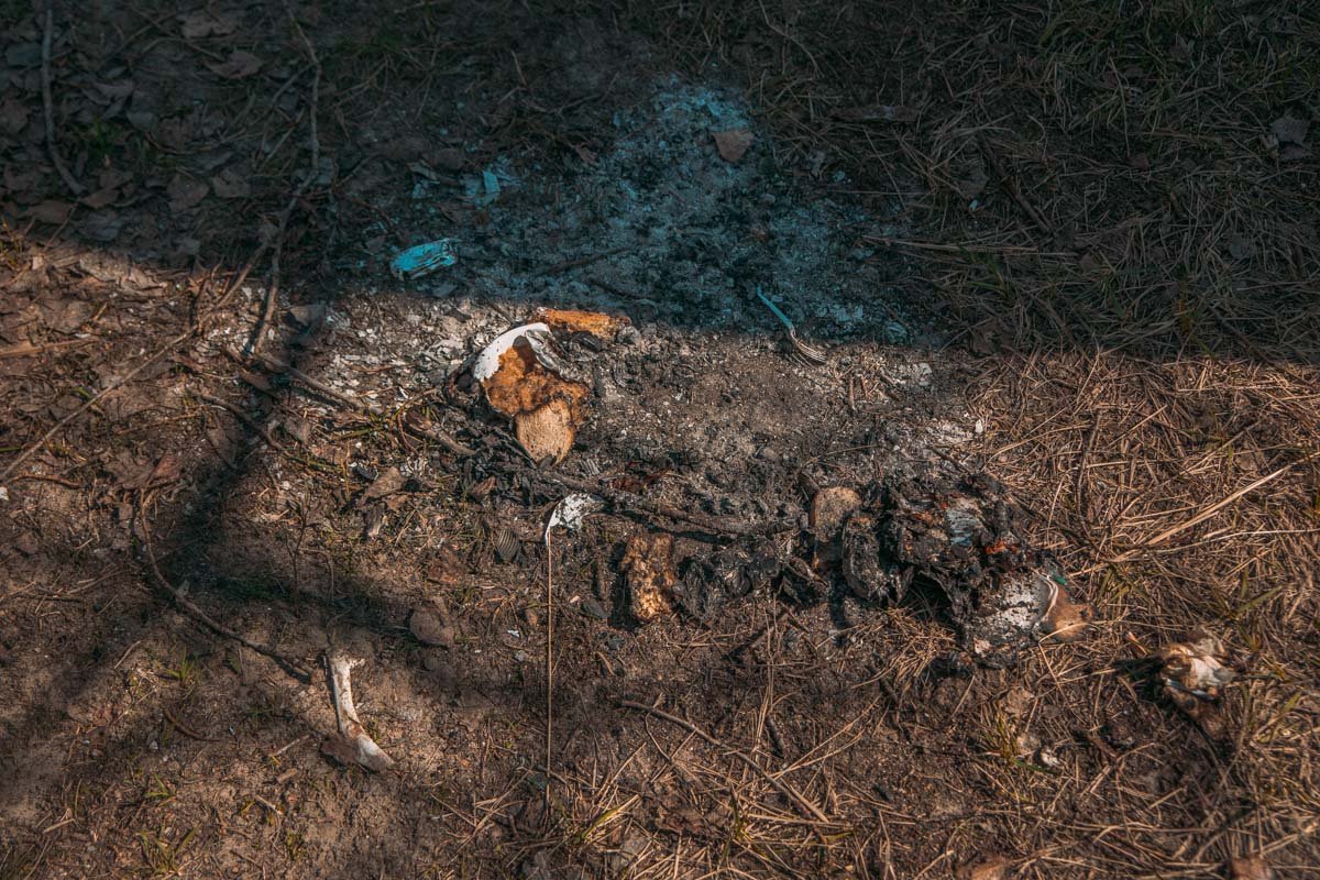 Остатки "пиршества" можно отдать бездомным собачкам, а не оставлять на лужайках