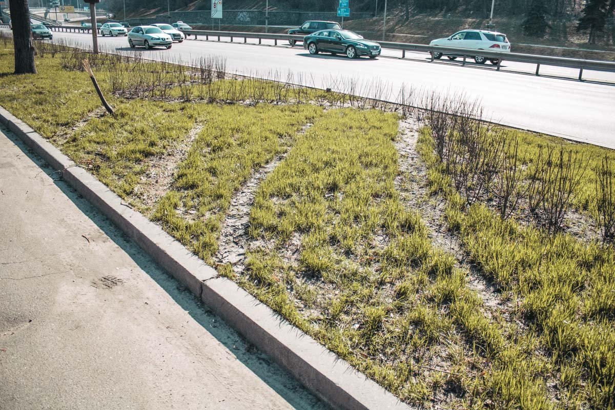 Девушка за рулем Mazda ехала на высокой скорости Девушка за рулем Mazda ехала на высокой скорости