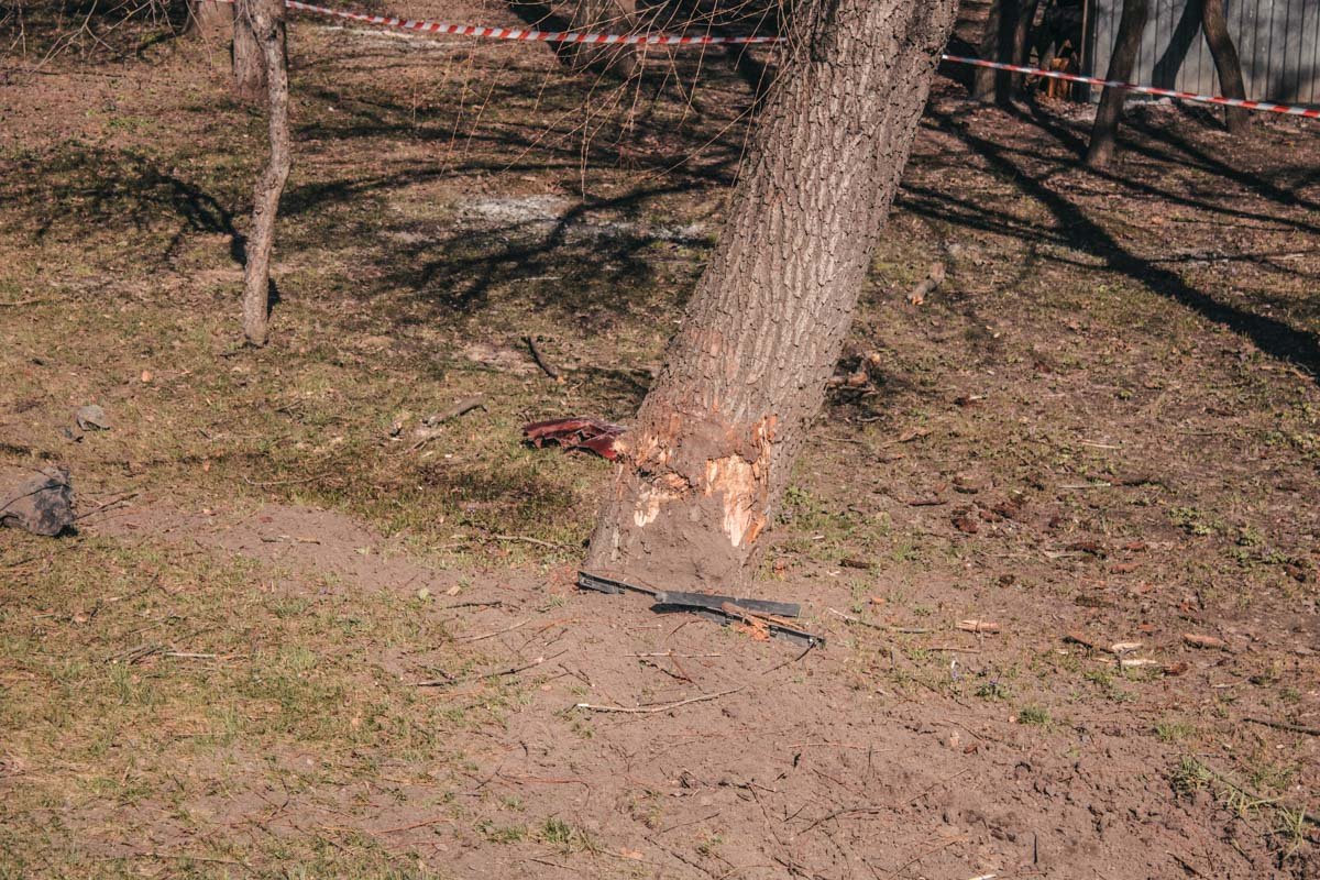 В аварии пострадали не только водитель и пассажир авто, а и дерево в парковой зоне В аварии пострадали не только водитель и пассажир авто, а и дерево в парковой зоне