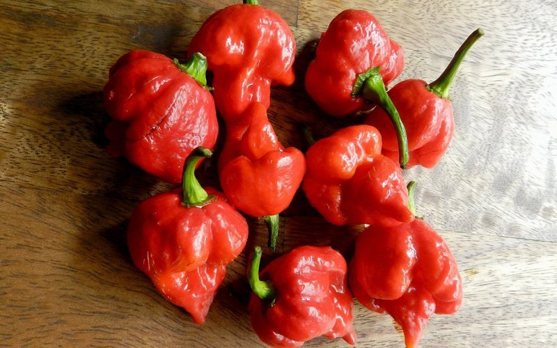 Каролинский жнец