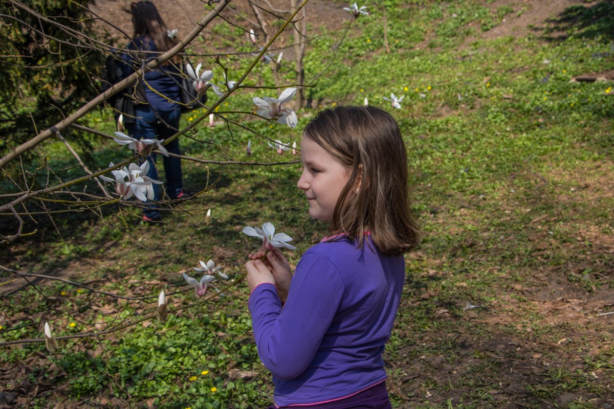 Вокруг деревьев уже много желающих сделать красивую сезонную фотографию
