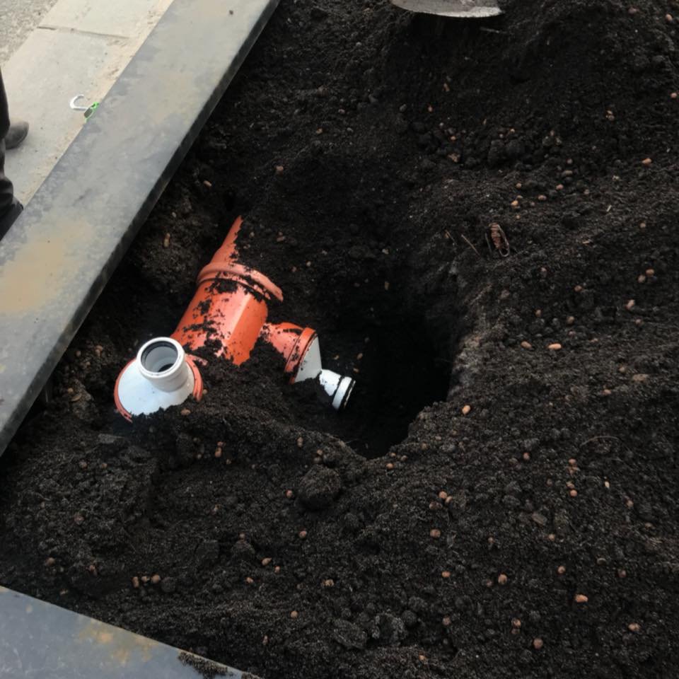 В лунки экспериментальных деревьев на Крещатике встроили систему капельного полива В лунки экспериментальных деревьев на Крещатике встроили систему капельного полива