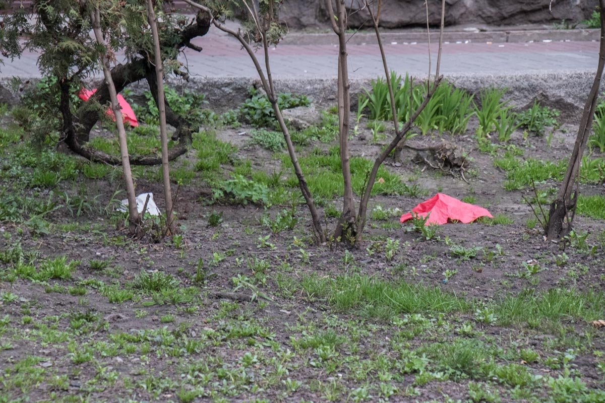 Салфетки парят над землей и садятся на травку у бара