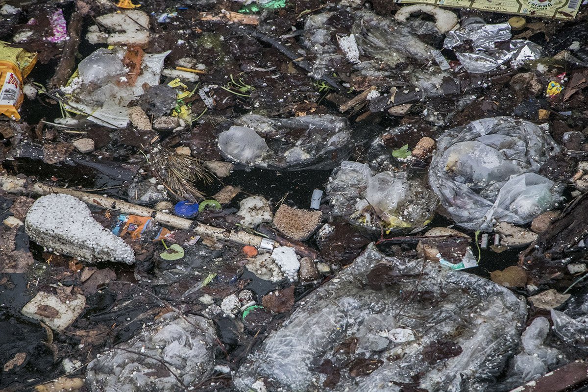 В озере плавают как пищевые, так и строительные отходы