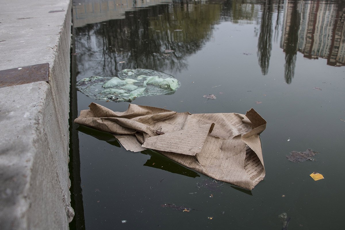 Чего только там не увидишь на плаву 