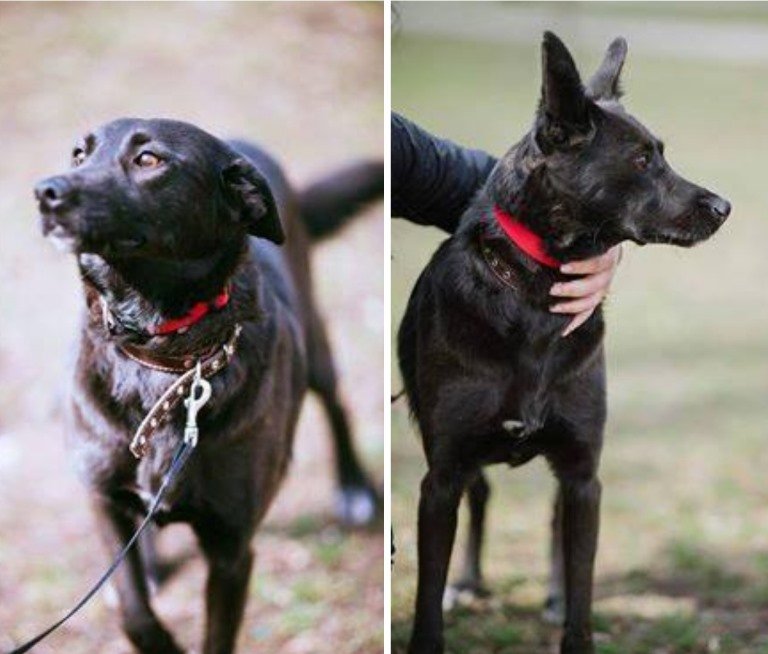 Красотка Адель ждет именно вас! Красотка Адель ждет именно вас!