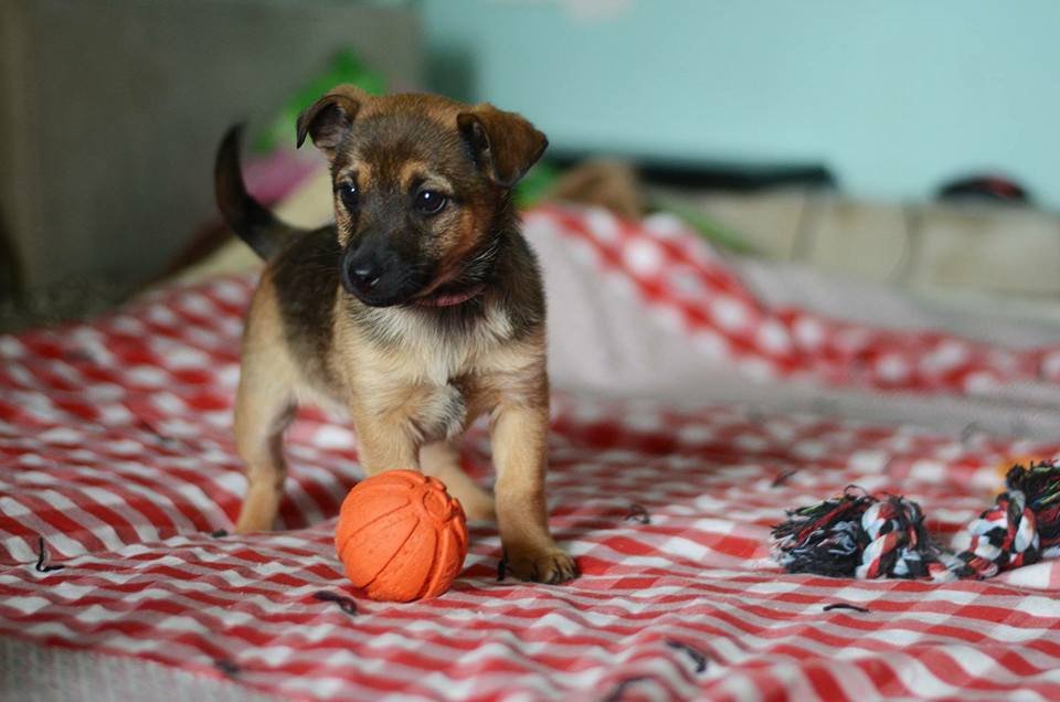 Милая девочка Брук очень нежная и ласковая Милая девочка Брук очень нежная и ласковая
