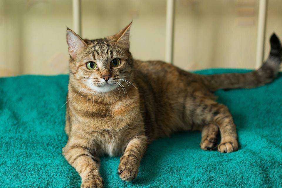 У Кати чудесные лучистые глаза и идеальный характер У Кати чудесные лучистые глаза и идеальный характер