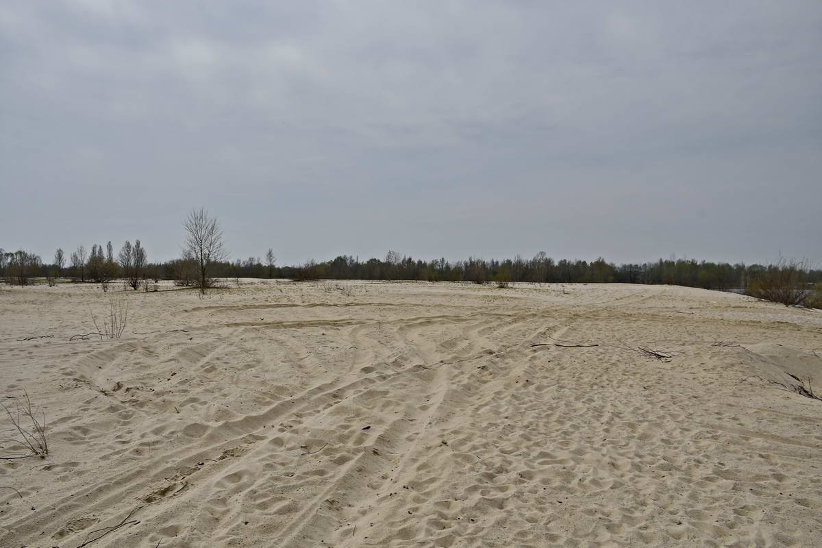 Это отличное место для романтичной или веселой фотосессии Это отличное место для романтичной или веселой фотосессии