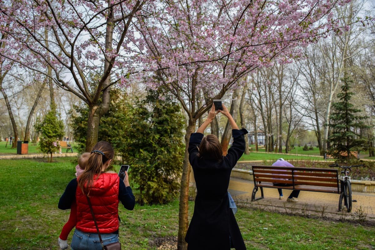 Куда же без фото на память Куда же без фото на память