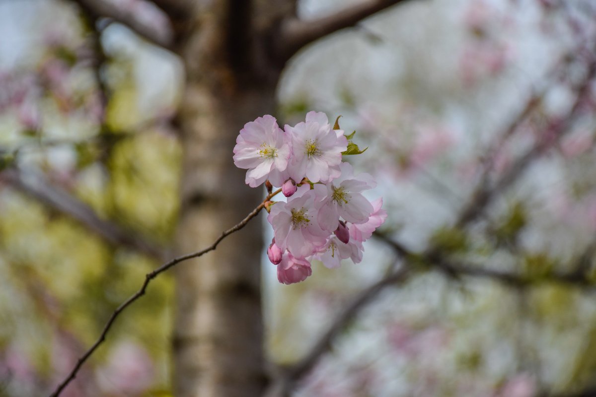 Красота - в деталях Красота - в деталях