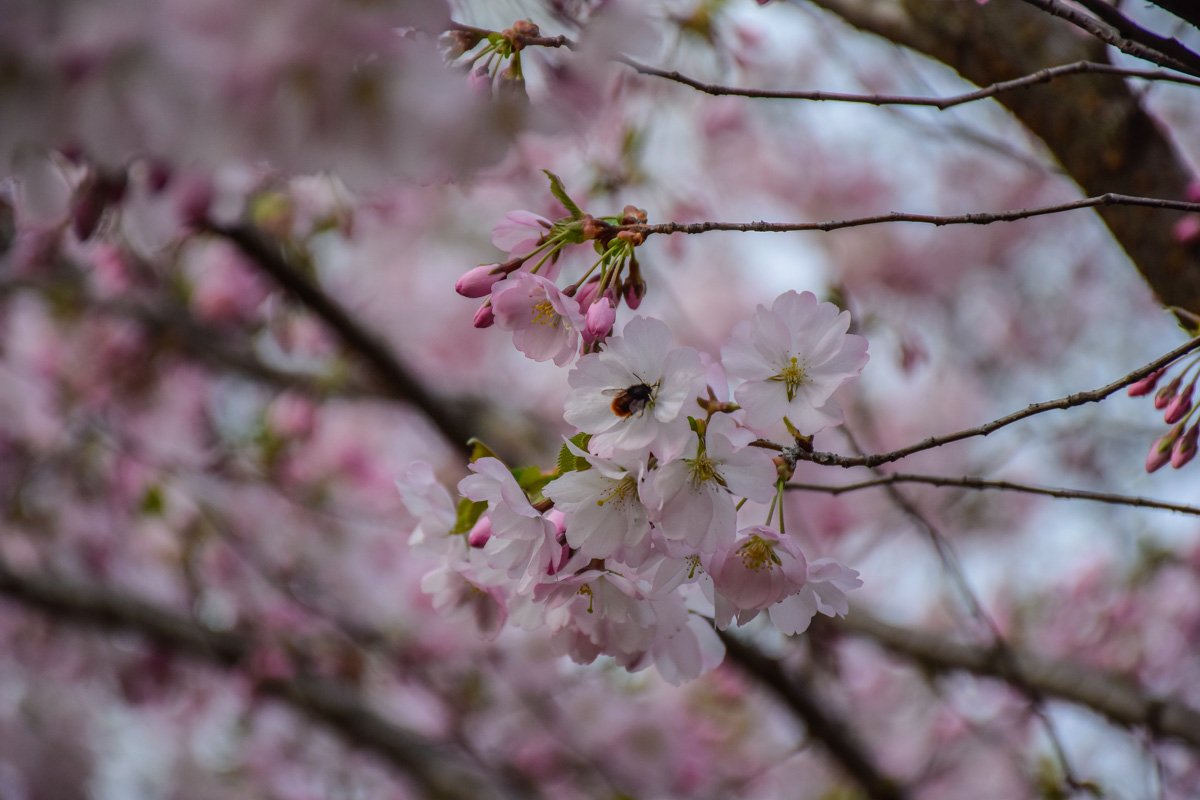 Стоит увидеть это своими глазами Стоит увидеть это своими глазами