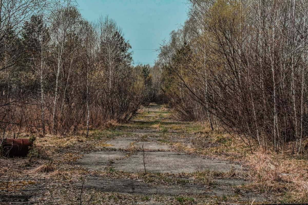 Дорога к пункту санитарной обработки