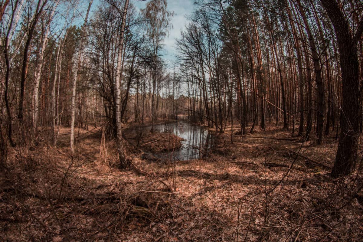 С Зоной ведь так: с хабаром вернулся — чудо; живой вернулся — удача; патрульная пуля мимо — везенье, а всё остальное — судьба…
