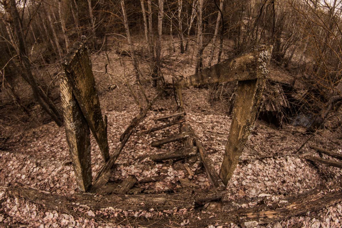Многие зараженные растения уже давно погребены в землю