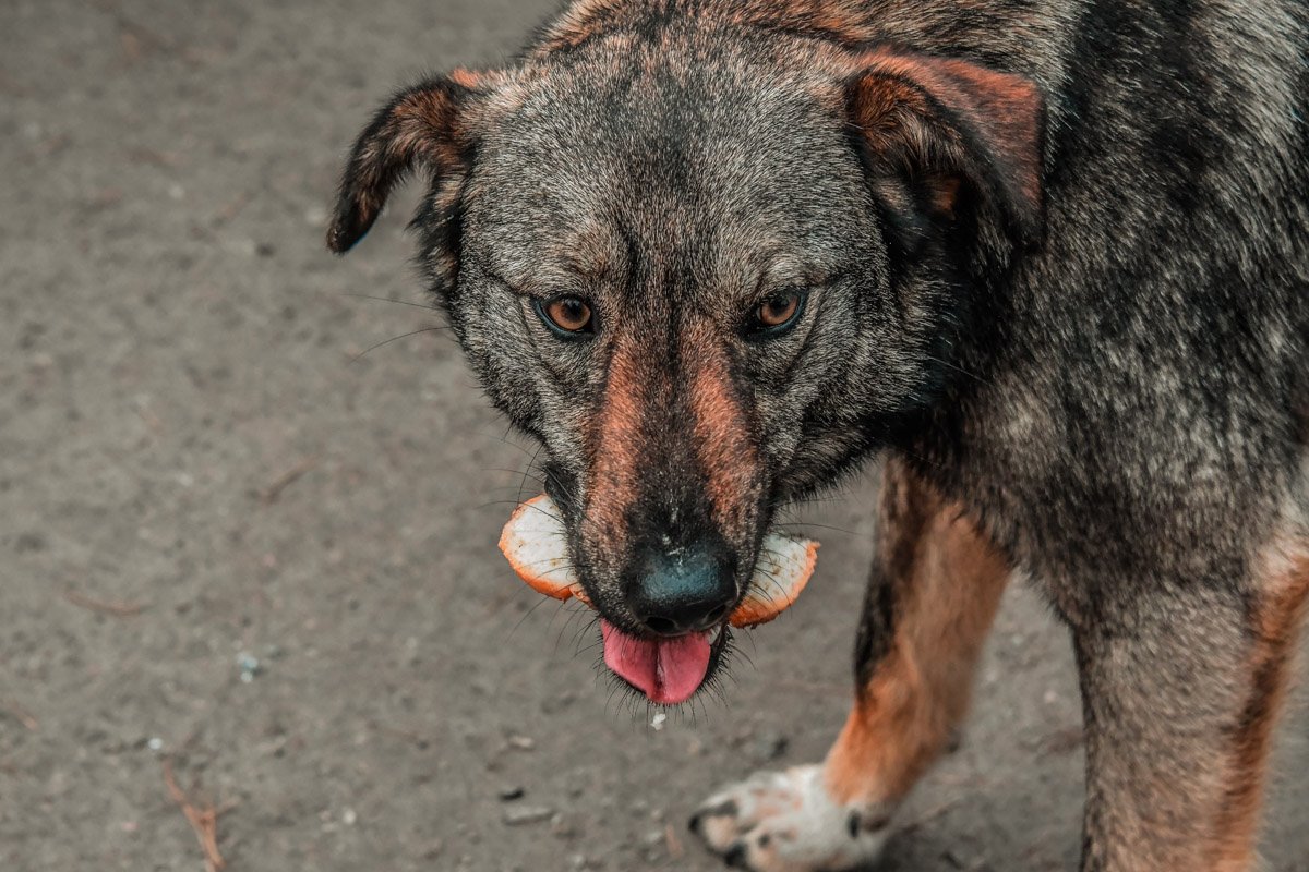 Но жизнь здесь продолжается...