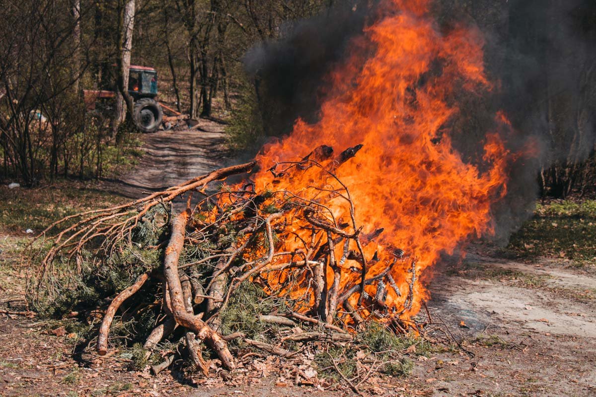 Масштаб очагов возгорания - 400 метров квадратных