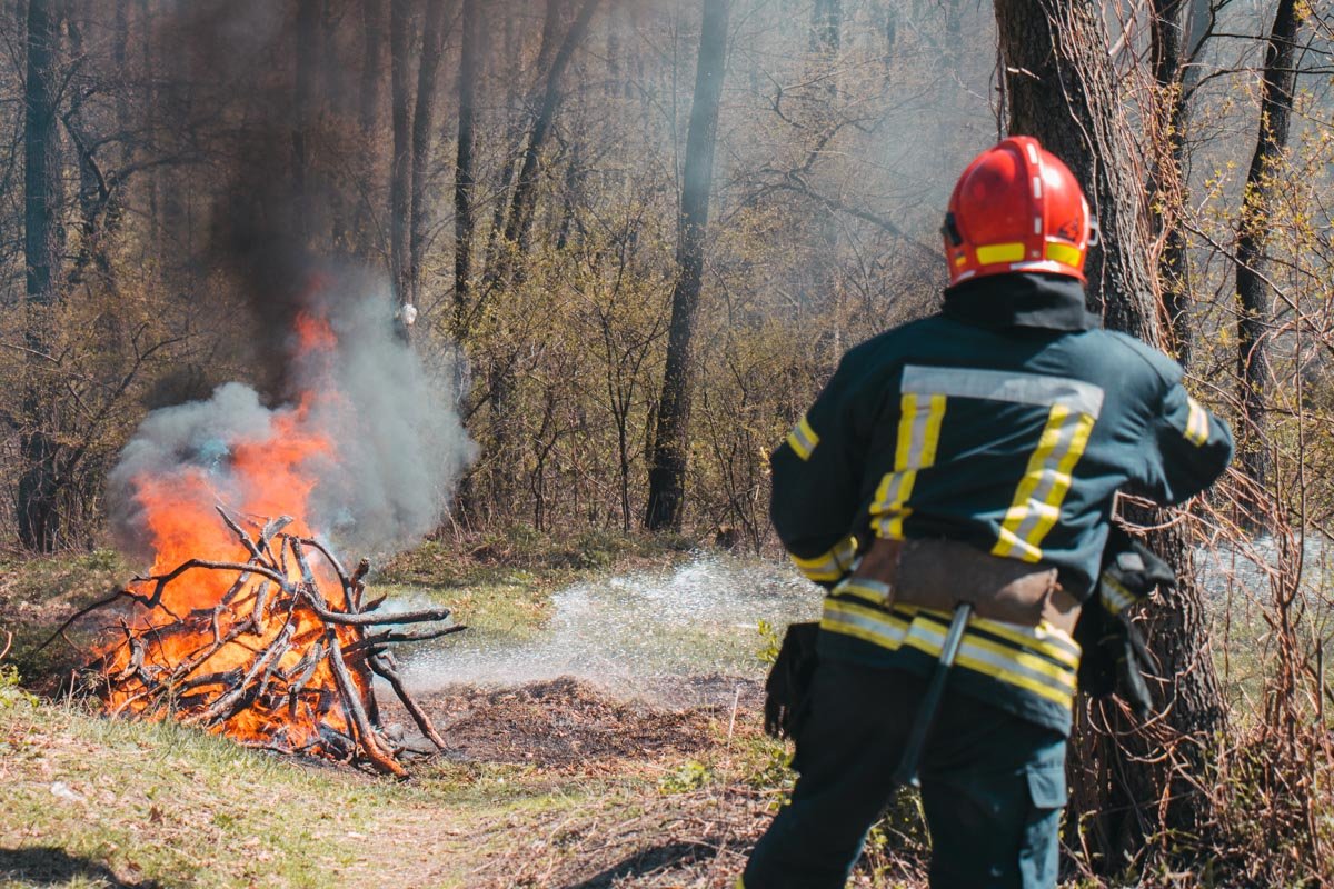 Пожар тушили около 100 человек состава