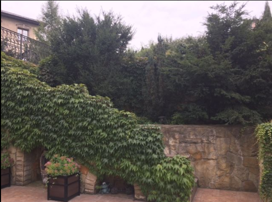 Сад точно шикарный, а территория зеленая