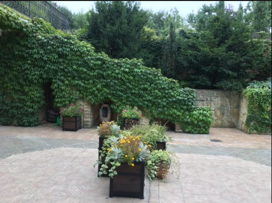 Дом возле Ботанического сада сам похож на сад