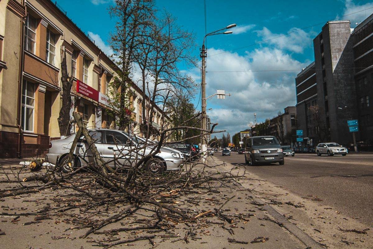 Гидрометцентр предупреждал о сильном ветре