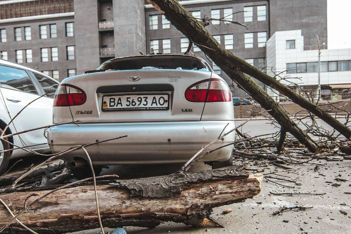 В автомобиле на момент падения дерева никого не было, пострадавших нет