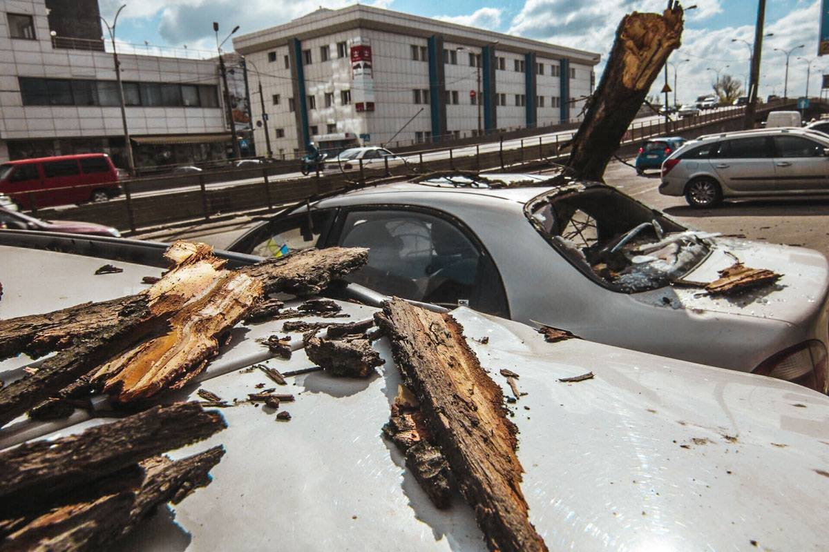 Владелец автомобиля будет добиваться компенсации