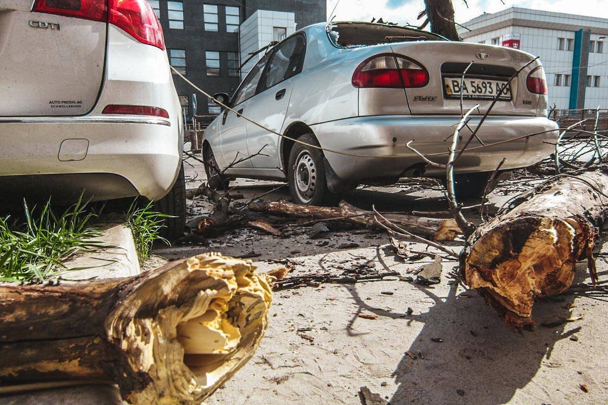 Полиция спустя полтора часа так и не приехала