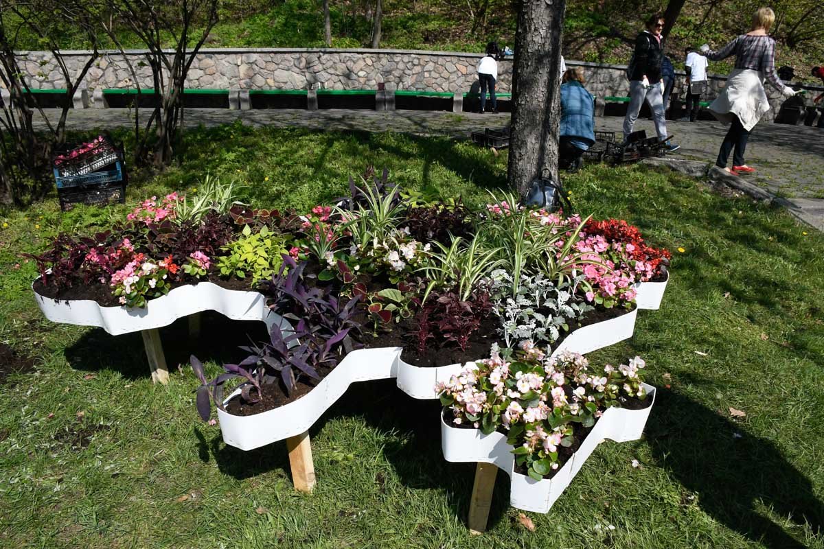 Цветочная композиция рядом с аллеей Цветочная композиция рядом с аллеей