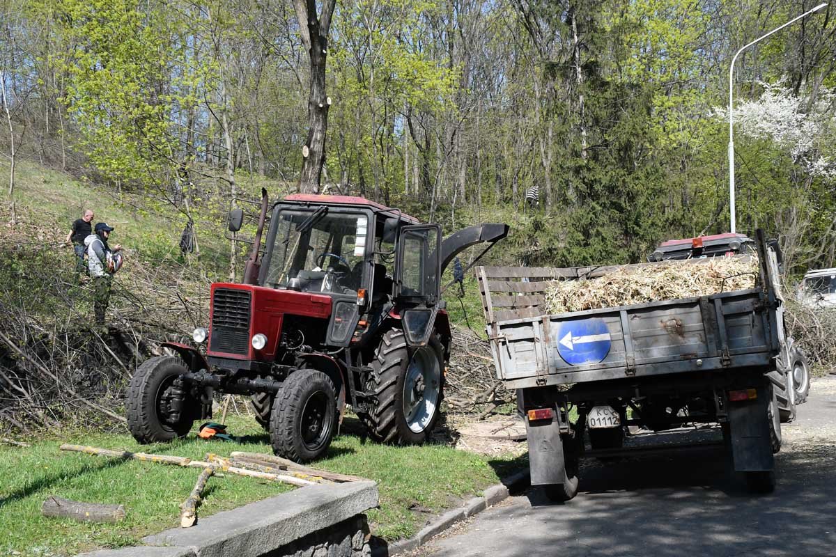 Дробилка превращает свежесрезанные ветки в стружку Дробилка превращает свежесрезанные ветки в стружку
