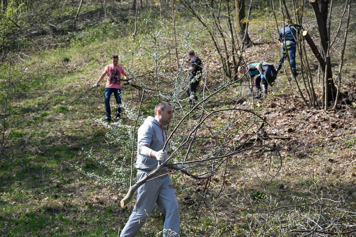 Парк в Печерском стал приятнее для прогулок Парк в Печерском стал приятнее для прогулок