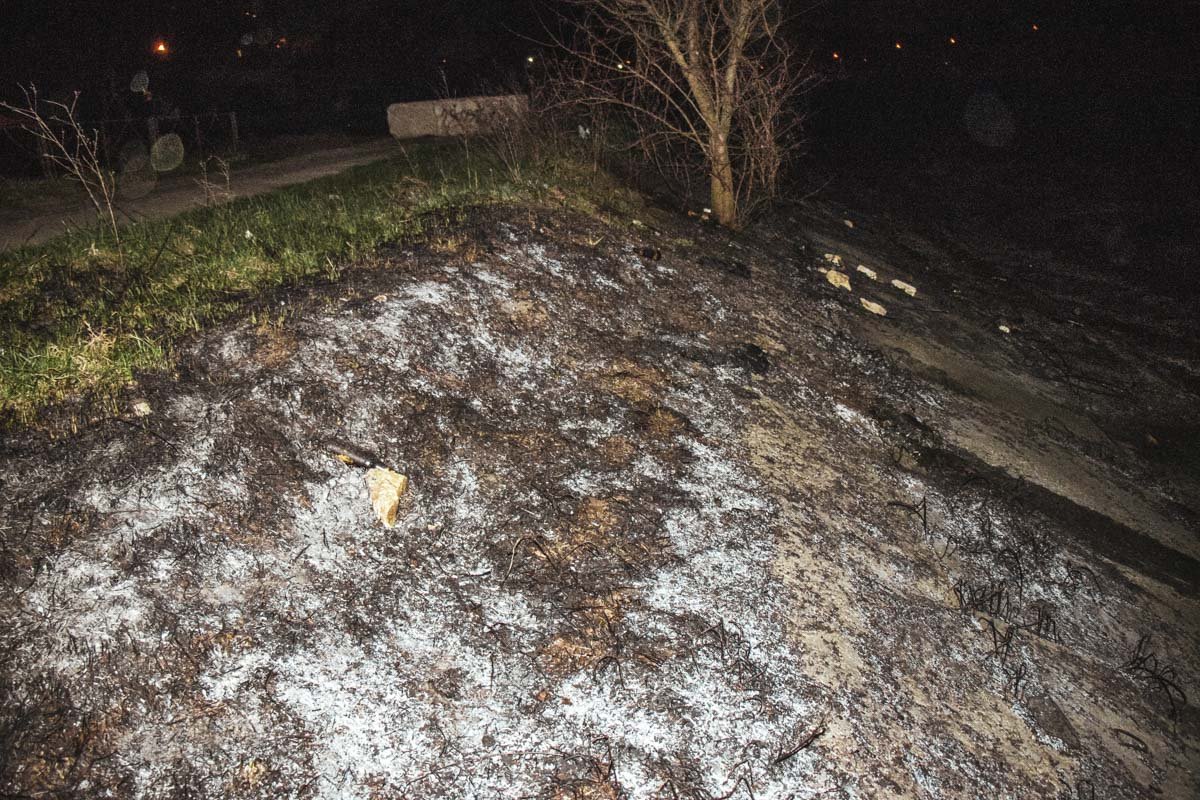 Виновниками пожара стали несколько юношей