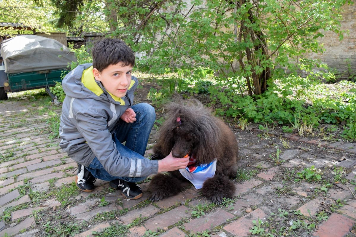 Дрессированный пудель помогал детям в играх