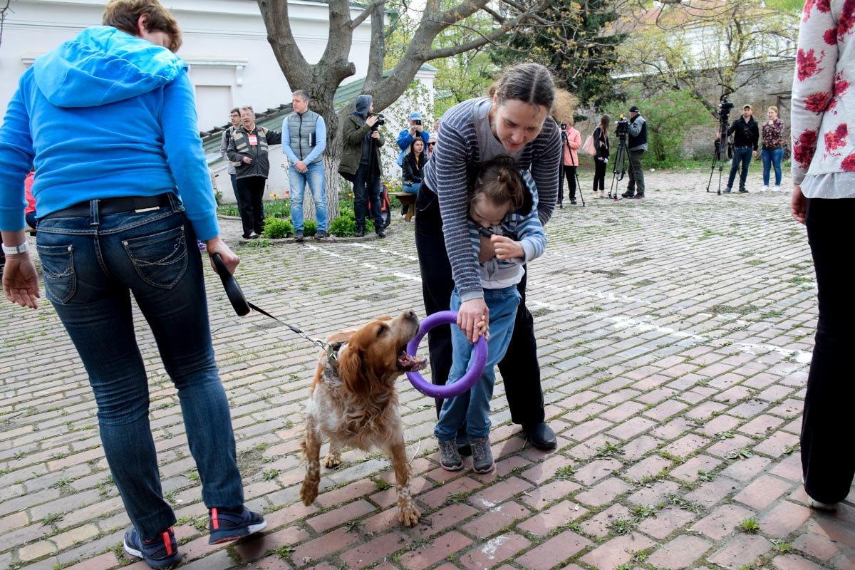 Малышам надо было кинуть игрушки собаке, она их обратно им приносила