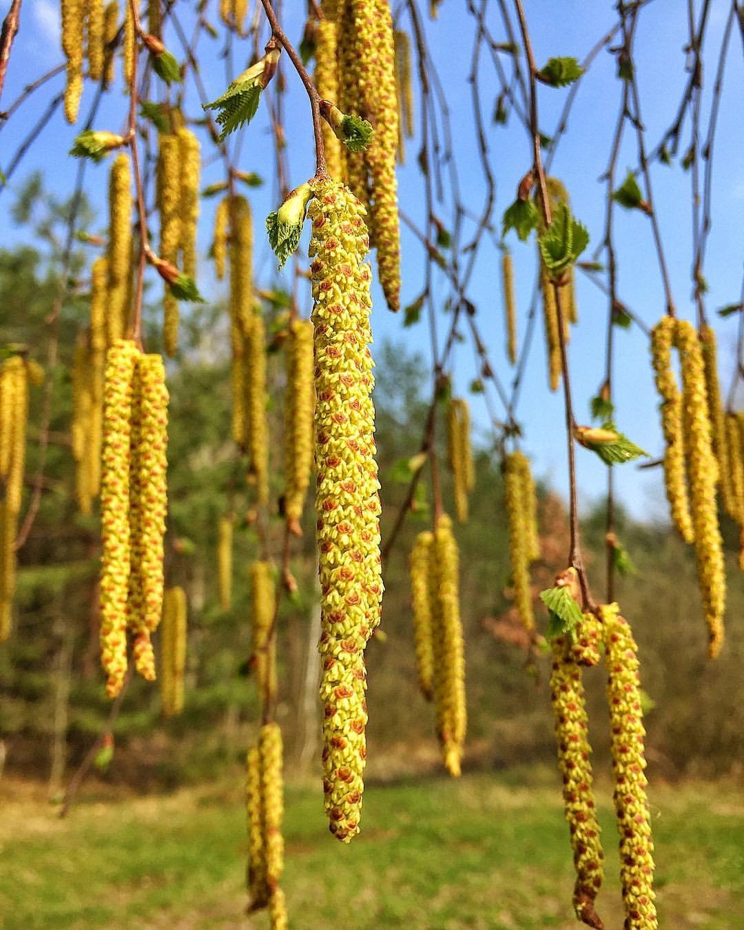 Фото: @csgoshop.eu