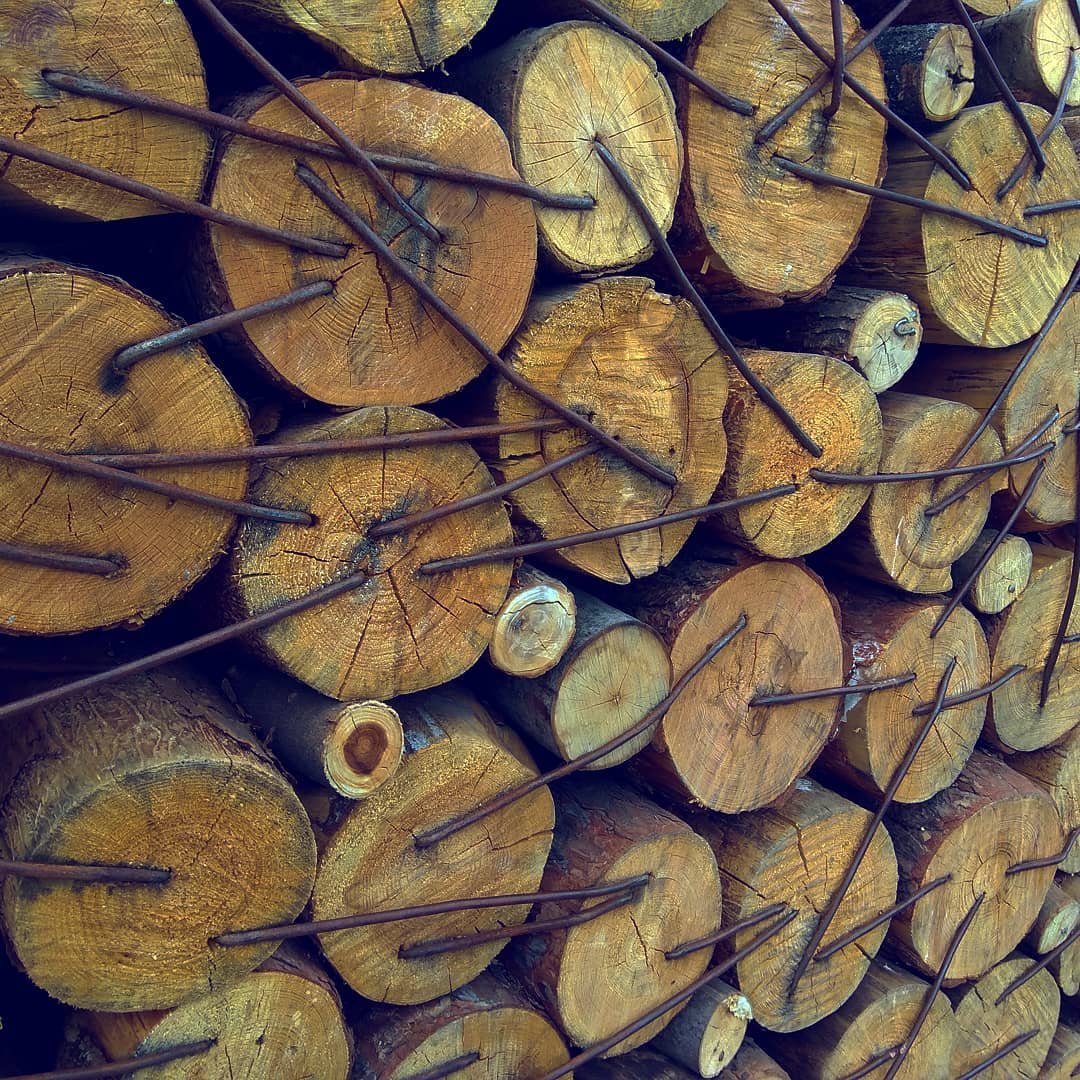 Фото: @evgenia.gross