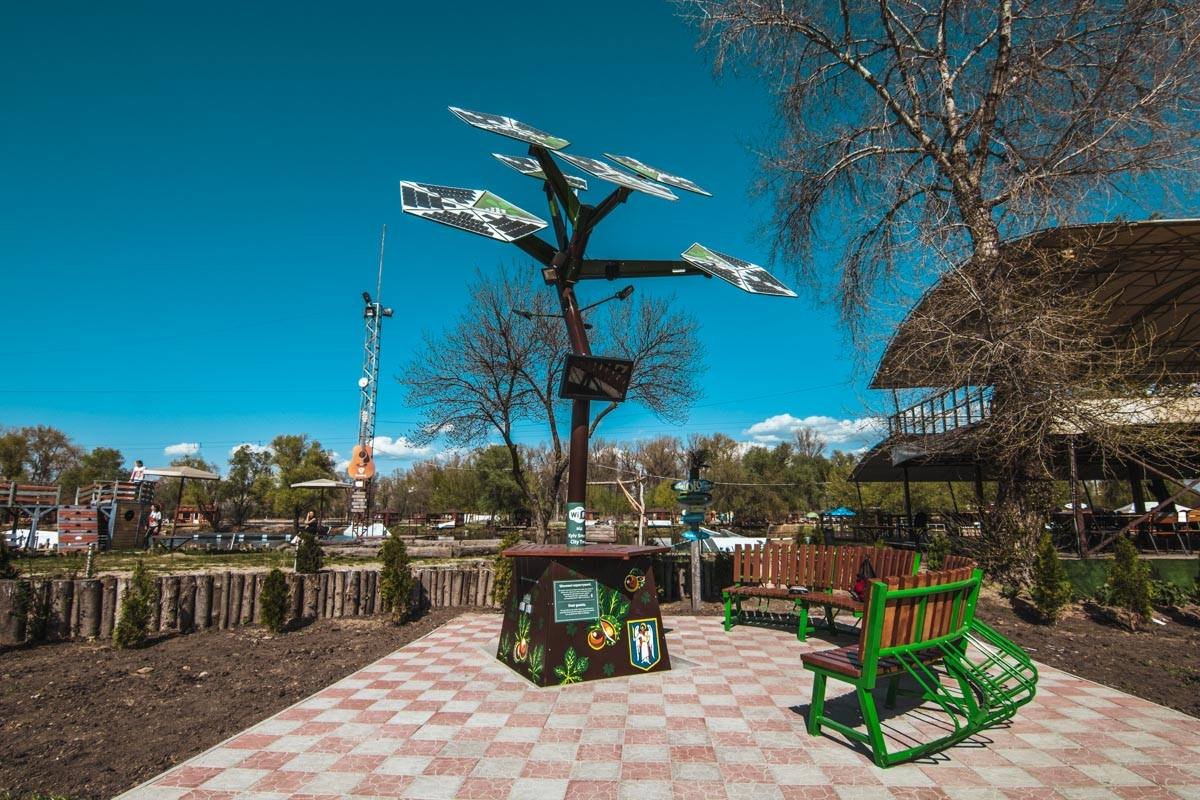 Вечно зеленое дерево