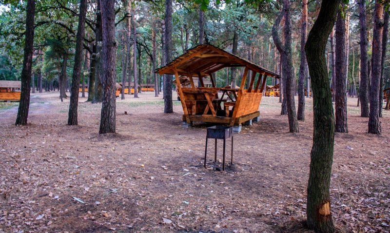 Здесь разрешают жарить шашлыки и готовить барбекю