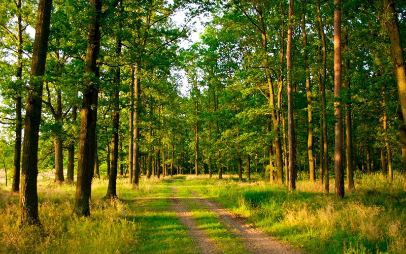 Красивая природа никого не оставит равнодушным