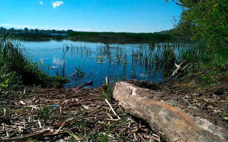 Можно расположиться на берегу Десенки