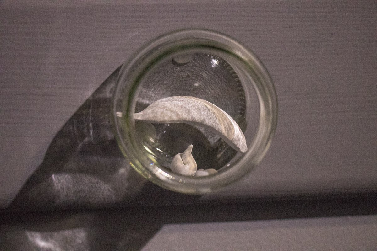 Скульптуры олицетворяли быть и всю повседневную жизнь матери