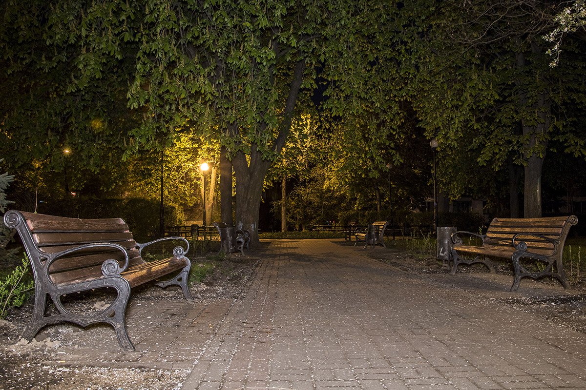 Уютный сквер тоже пустует ночью