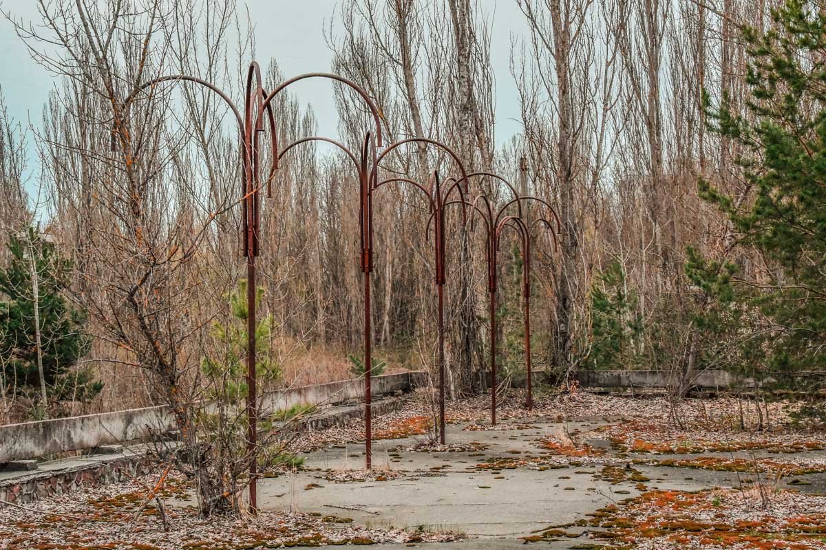 Вряд ли приятно ходить по такому парку