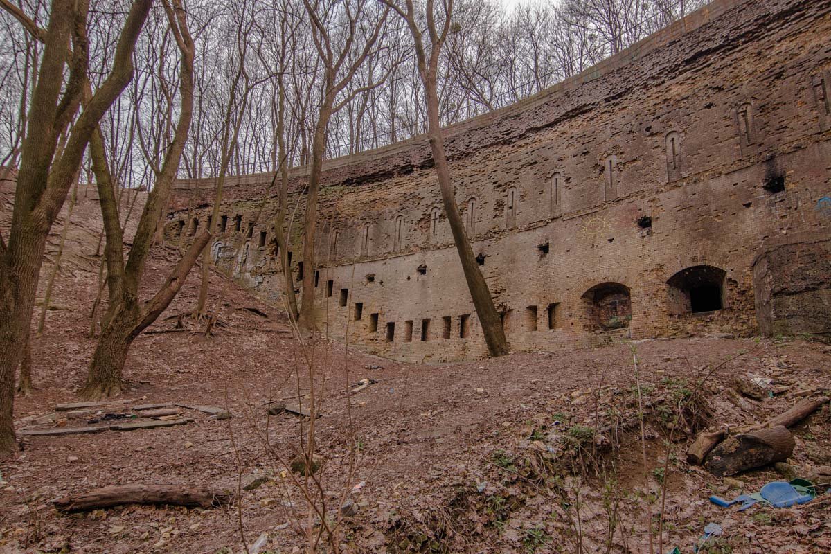 И так каждый год...