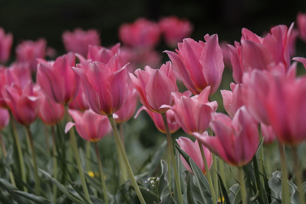 Запахи слышны даже через экран монитора:) Запахи слышны даже через экран монитора:)