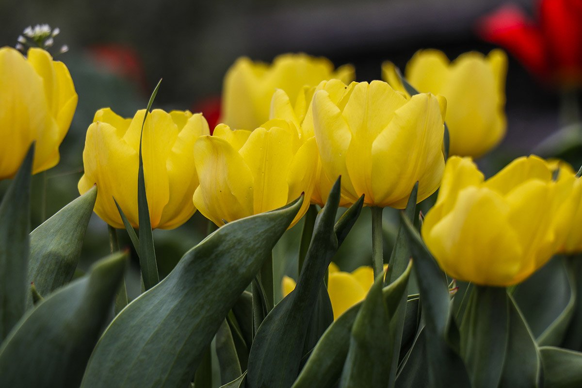Один взгляд на фото - и ты уже Наталья Королева Один взгляд на фото - и ты уже Наталья Королева